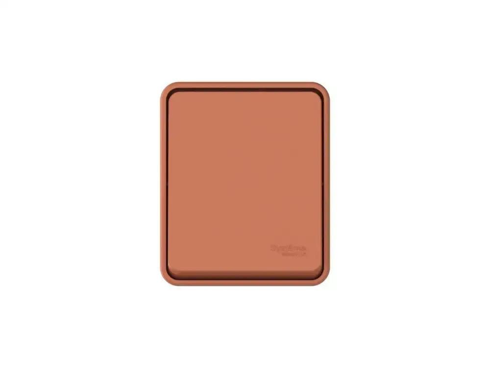 ATN547015 AtlasDesign PROFI IP54 О/У 1-клавишный ВЫКЛЮЧАТЕЛЬ с самовозвратом 10 АХ, ТЕРРАКОТОВЫЙ - фото, цена в Минске